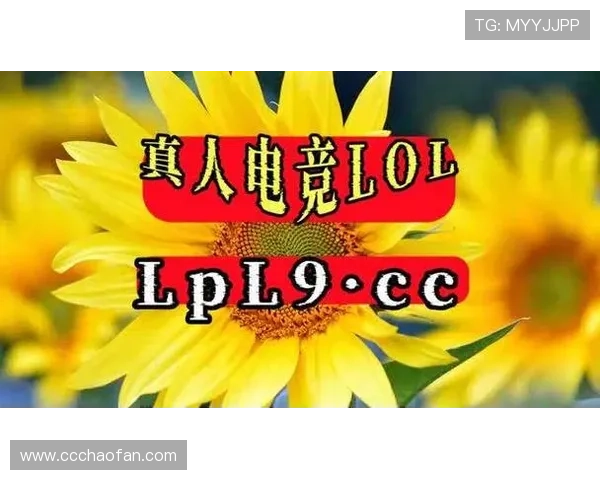LOL游戏竞猜软件推荐及使用指南 LOL游戏竞猜软件推荐及使用指南